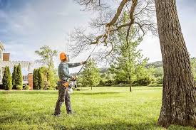 Best Weed Control  in Moonachie, NJ